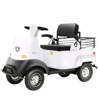 Electric Golf Cart Passenger Cruiser