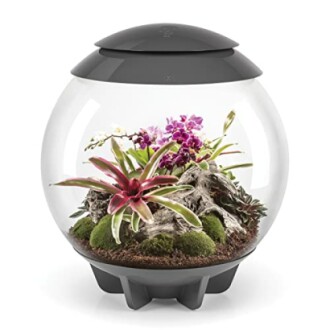 biOrb biOrbAIR 60 LED